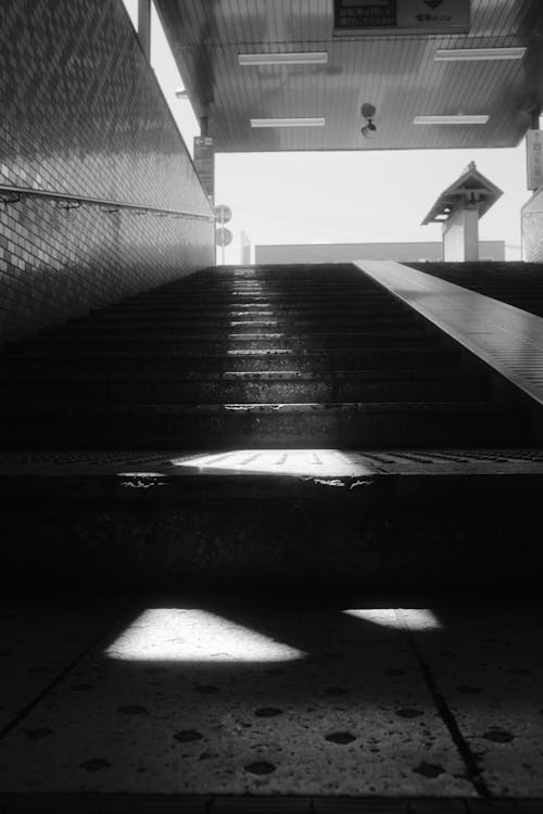 Grayscale Photo of Stairs