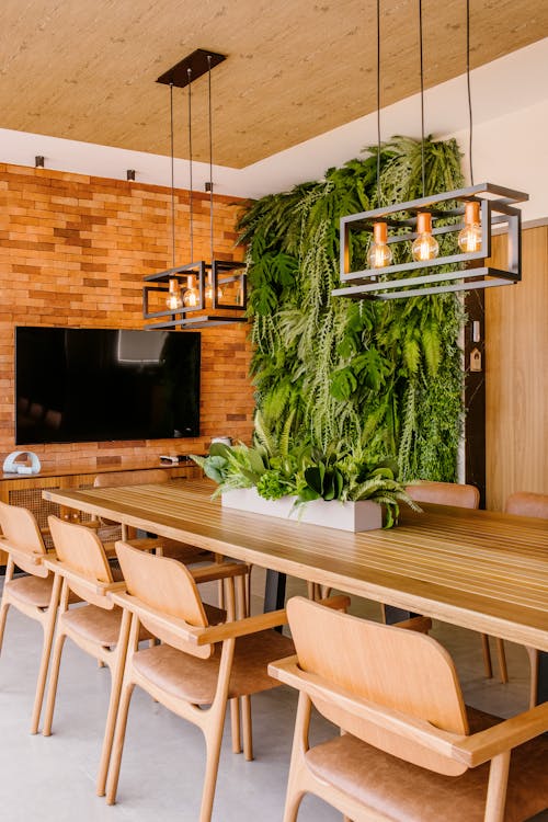 Television on Wall and Plants over Table