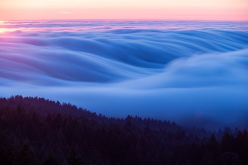 Free Breathtaking view of waves of clouds cascading over a forest at sunset, creating a serene and dreamy atmosphere. Stock Photo