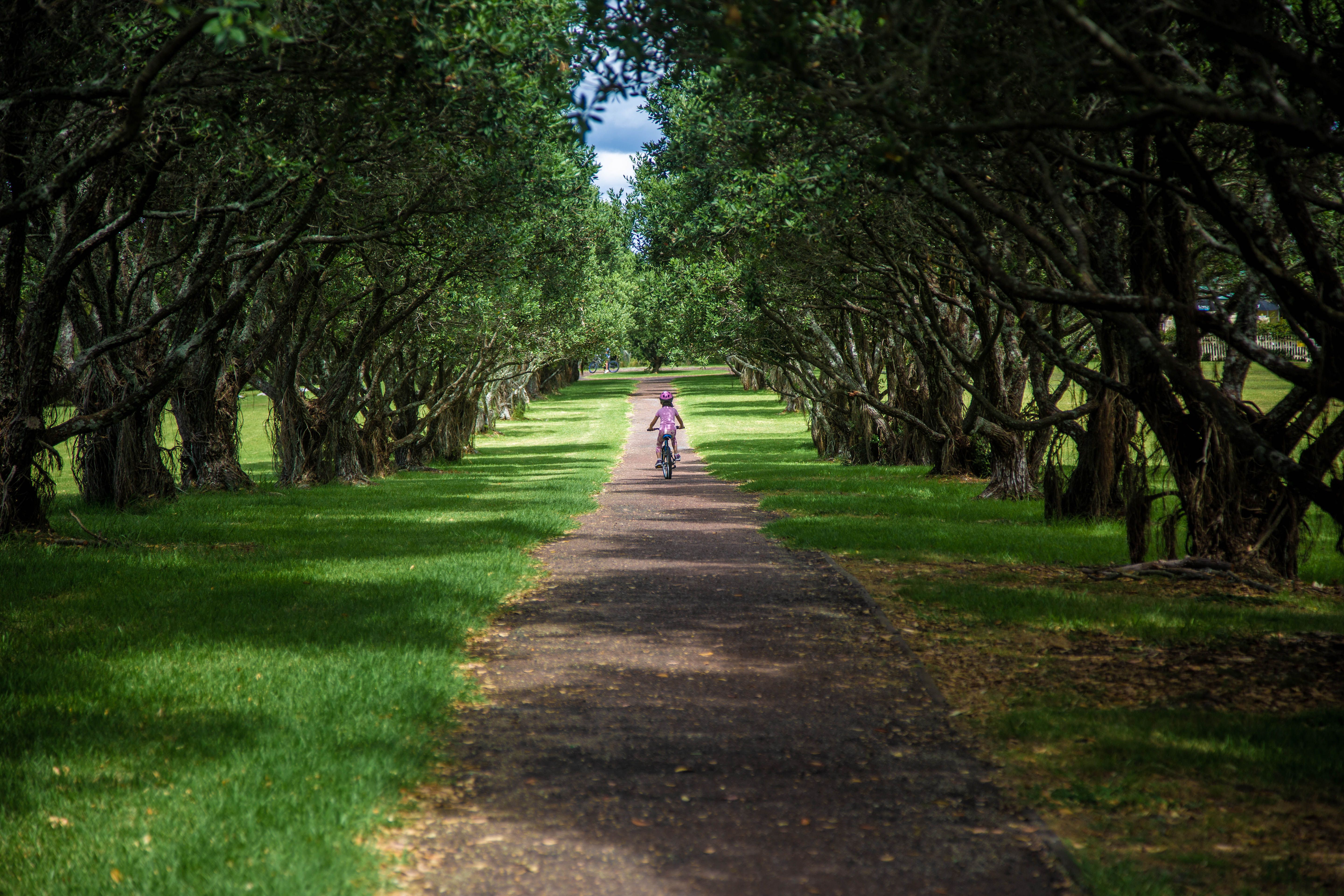 A child rides a bicycle on a tranquil tree-lined pathway during the day.