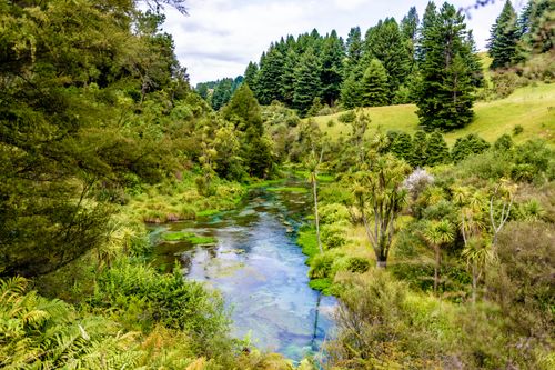 Free Idyllic landscape featuring a vibrant green forest and serene creek under a cloudy sky. Stock Photo