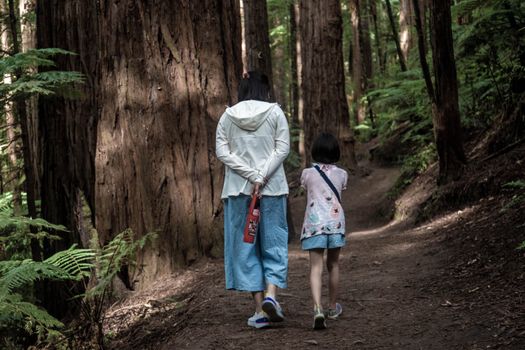 A mother and daughter enjoy a peaceful walk through a forest trail, surrounded by towering trees.