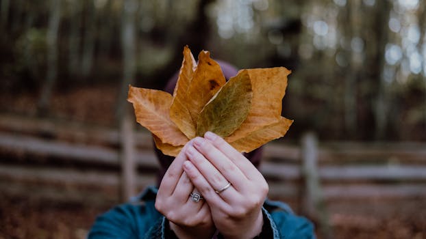 Close-up of hands holding autumn leaves outdoors with blurred background.
