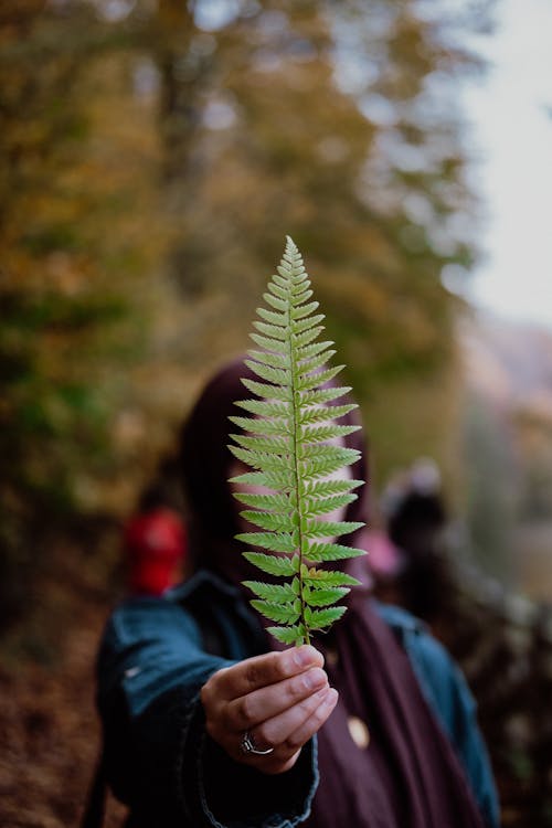 Woman Holding Leaf in Hand