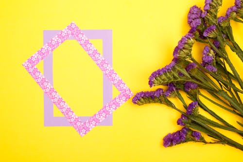 Sea Lavender Flowers Beside the Purple  Rectangle Frames 