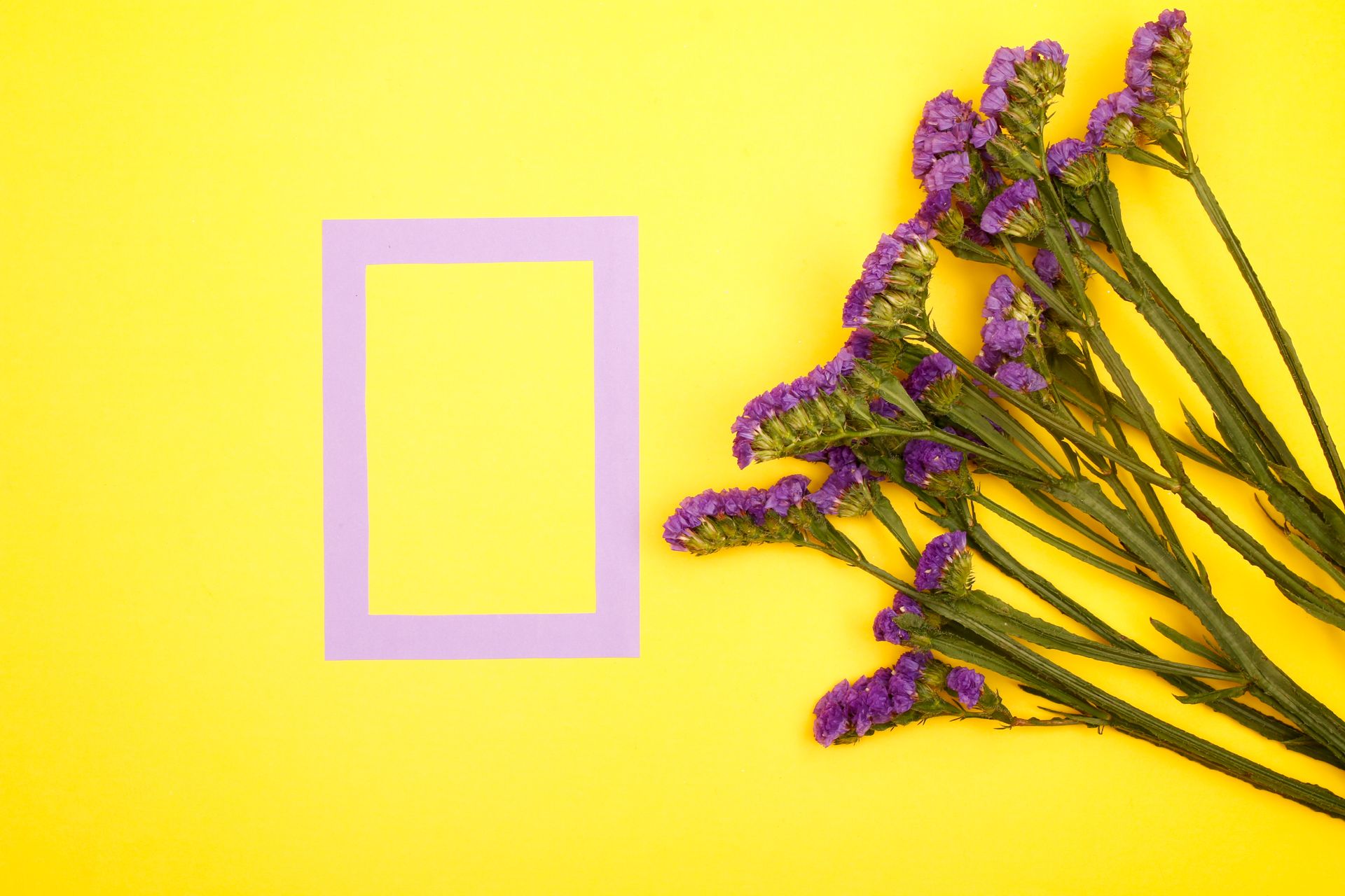 Purple sea lavender flowers on a vivid yellow background with purple frame.
