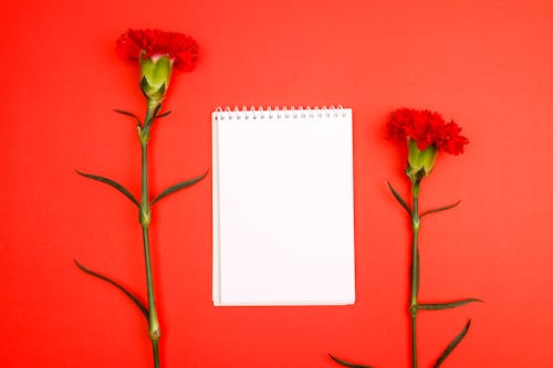 Blank Notepad and Red Flowers