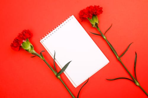 Red Flowers and a Notepad