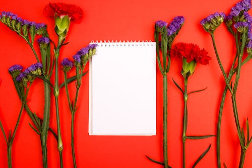 Flowers on Red Surface