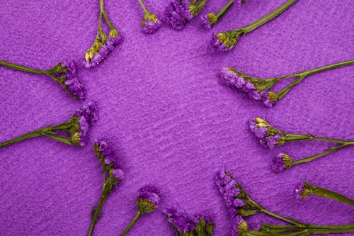 Purple Flowers on Purple Surface