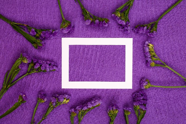 White Rectangle On Purple Background With Flowers