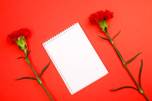 Red Flowers Beside White Notebook