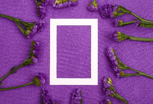 Flowers on Top of a Purple Cloth