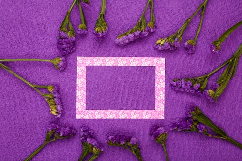 Empty Frame and Flowers on Purple Background 