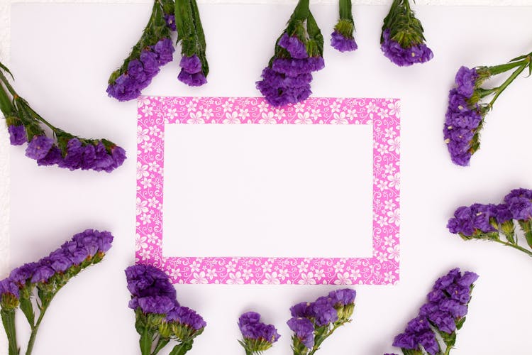 Conceptual Composition Of Flowers And Frame