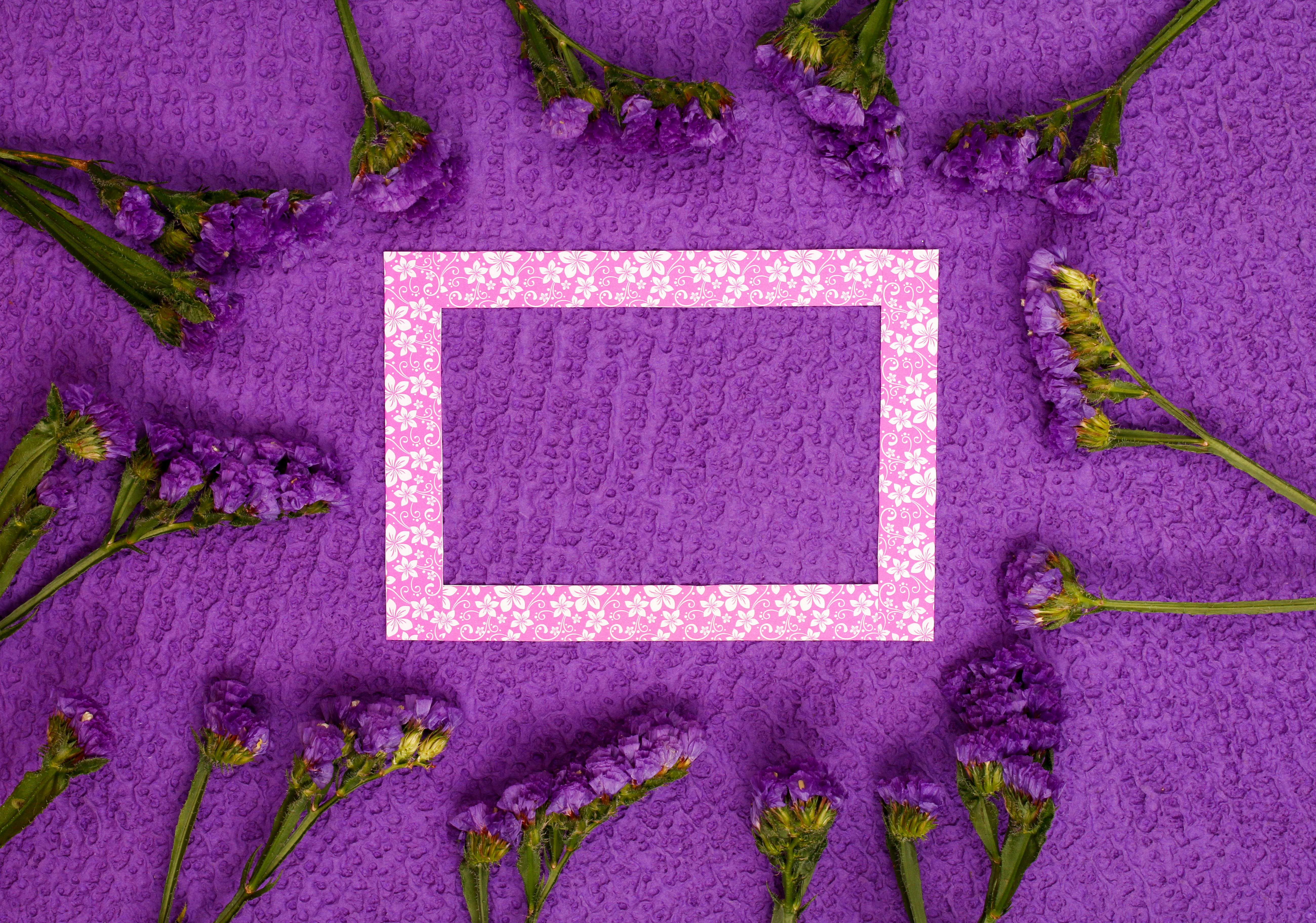 [ColoSach]-vibrant-purple-flowers-and-a-decorative-frame-on-a-textured-surface-create-a-charming-composition.