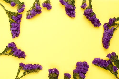 Photo of Purple Flowers on Yellow Surface
