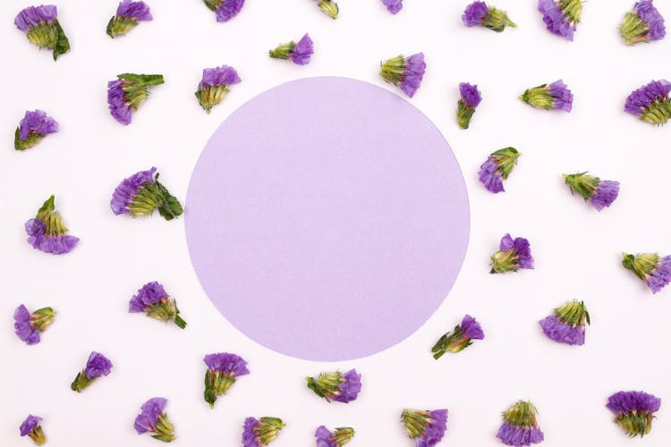 Lilac Circle And Pattern Made Of Purple Flowers