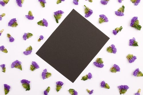 Free Aesthetic flat lay of purple statice flowers with blank card for customizable design. Stock Photo