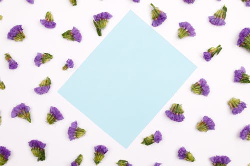 Purple Flowers Surrounding the White Paper