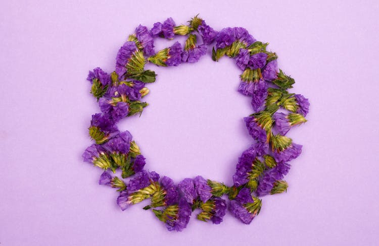 Purple Flowers Arranged In Circle Shape