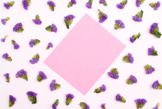 Vibrant purple flowers artfully arranged around a pink paper, creating a striking flat lay composition.