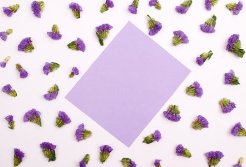 Purple Paper and Flowers on the White Surface