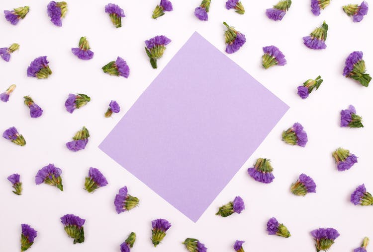 Purple Paper And Flowers On The White Surface