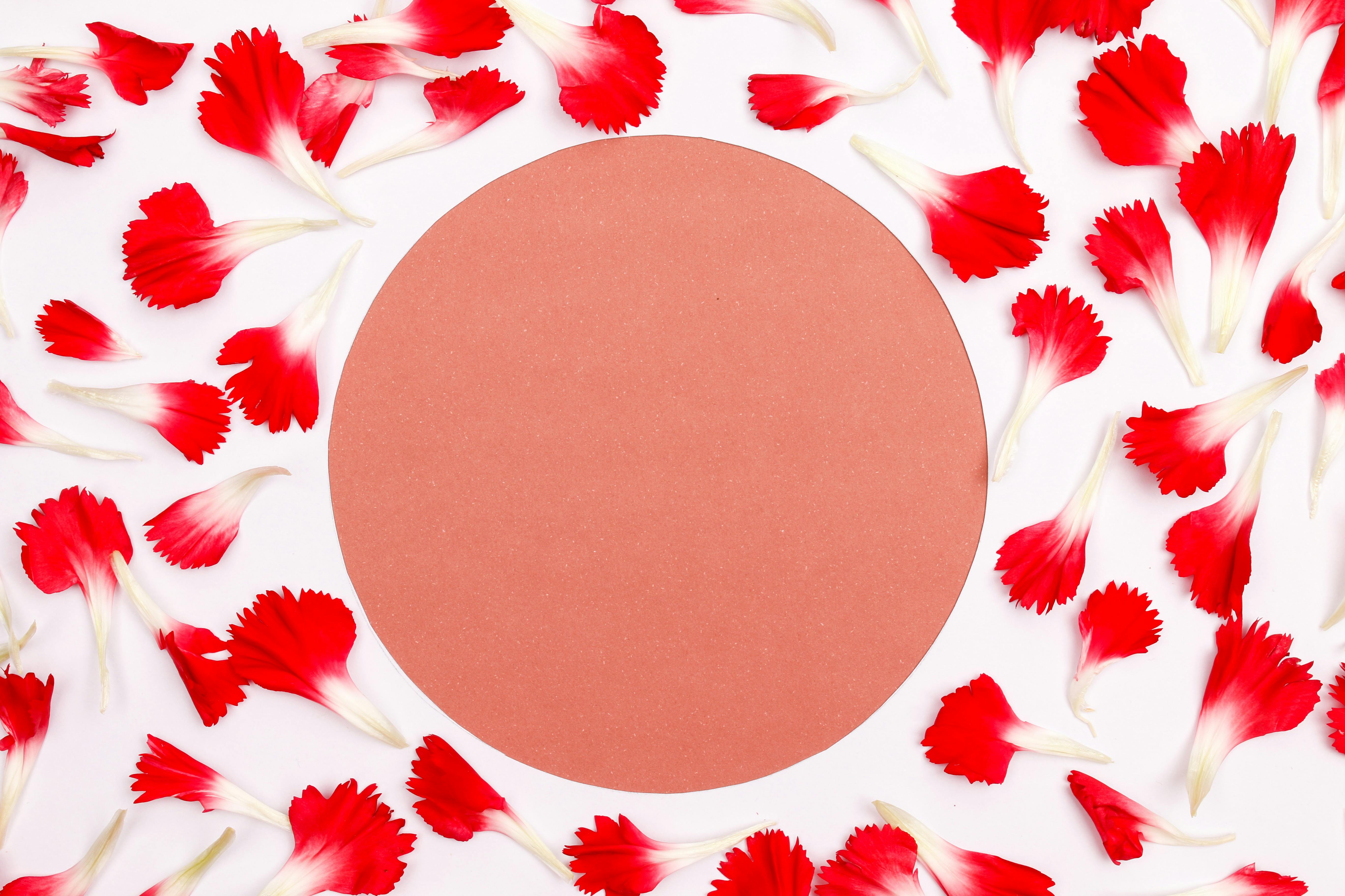 Diseño de Borduras y Canteros: Edafoclima, Estructura, Biodiseño