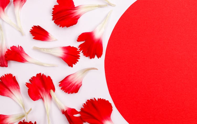 Red Circle With Flower Petals Around 