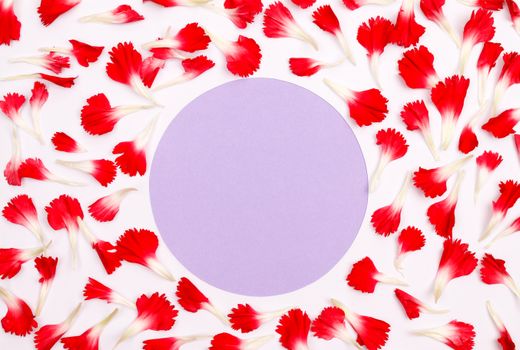 Beautiful red and white flower petals arranged around a purple circle on a white background.
