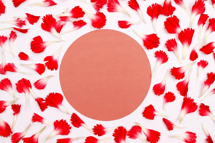 Pink Circle With Flower Petals Around 