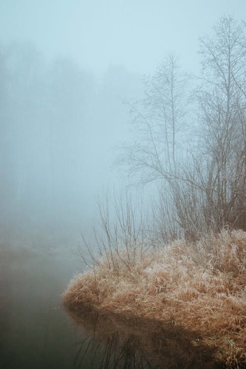 Lake on Foggy Autumn Day