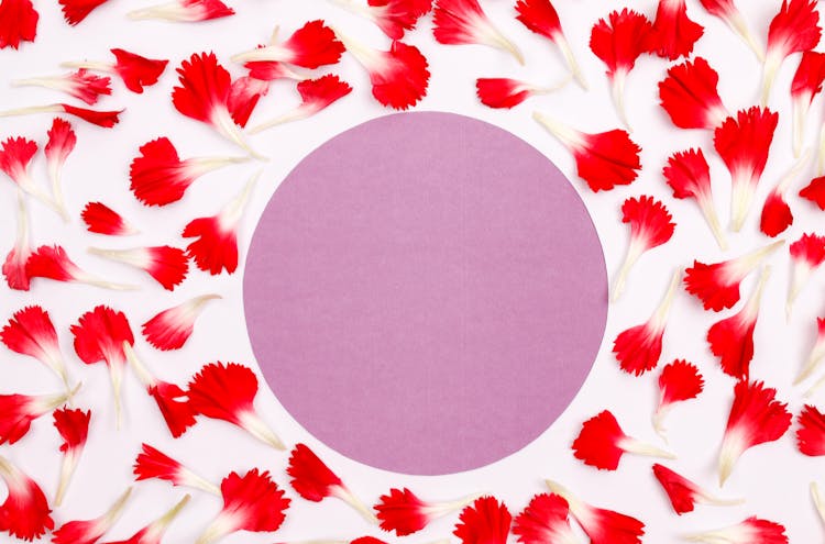 Red And White Petals Scattered Around Pink Circle