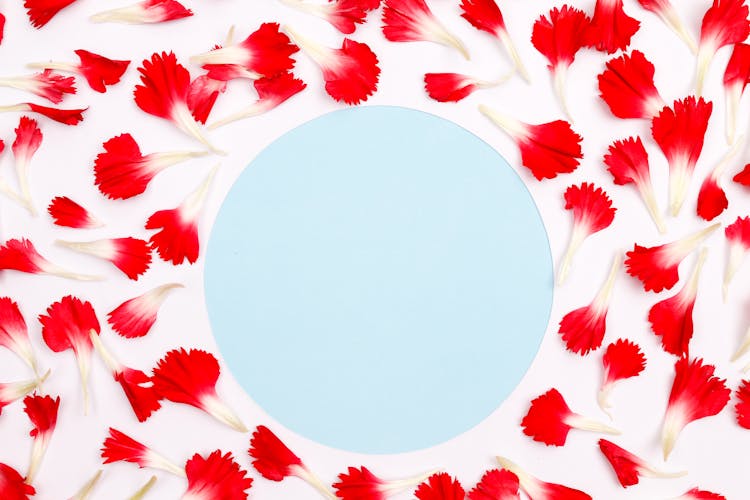 Blue Circle With Flower Petals Around 