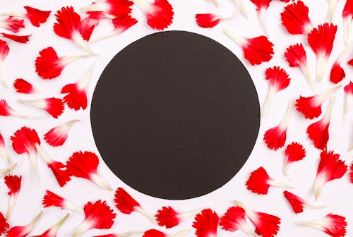 Black Circle among Red Flowers