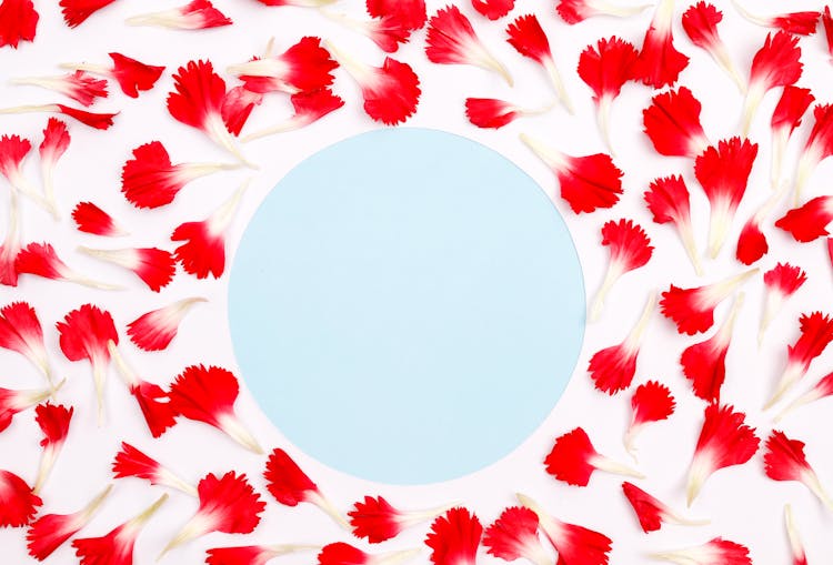 Pastel Blue Circle And Pattern Made Of Red Petals