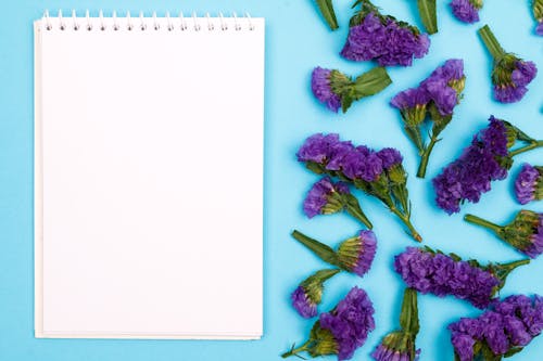 Close Up Photo of Notepad and Purple Flowers