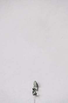 A single eucalyptus branch against a textured white background, embodying simplicity.