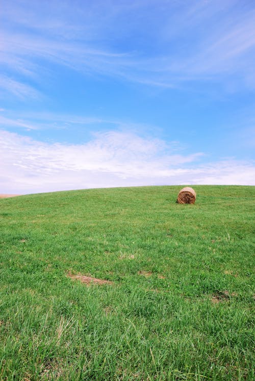 Brown Hay Bale on Green Grass Field
