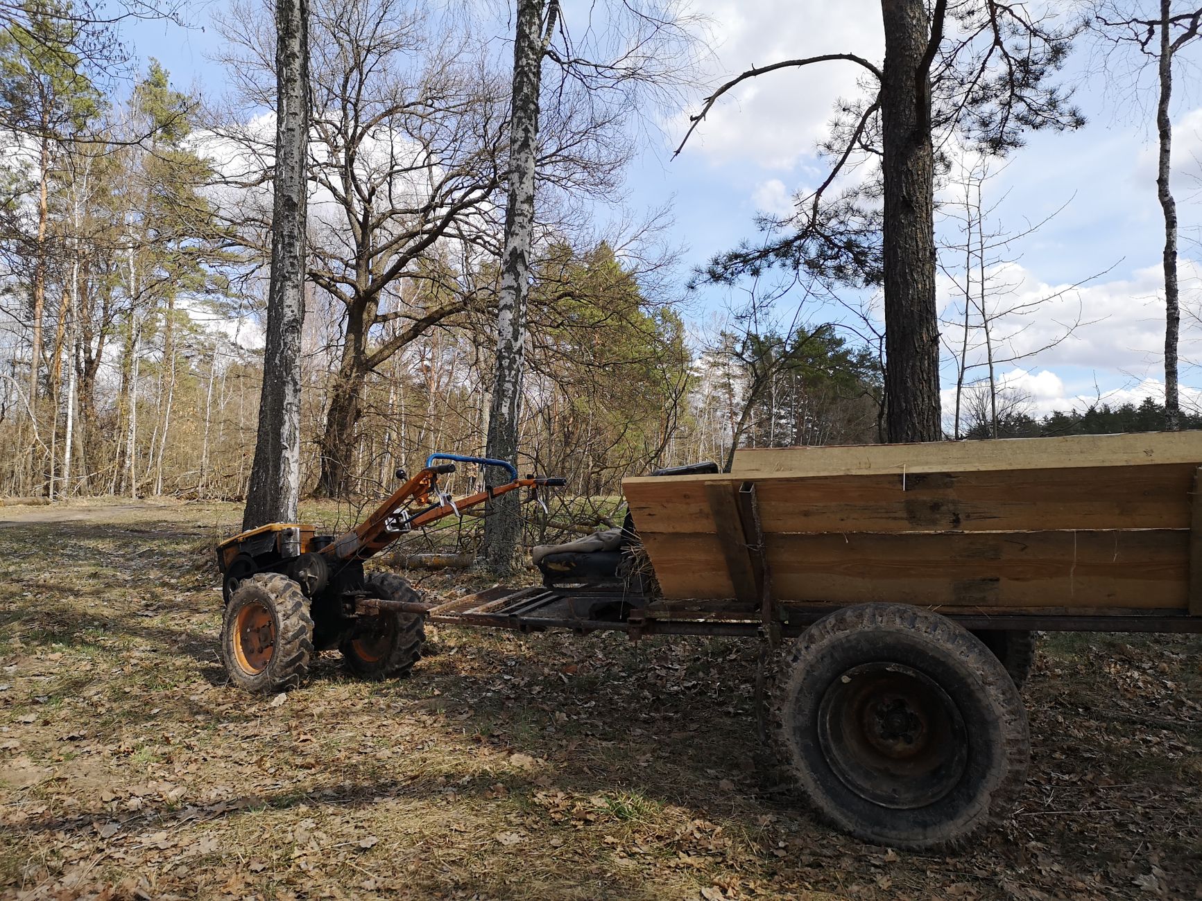 Old tractor and wooden trailer in a serene forest setting during springtime.