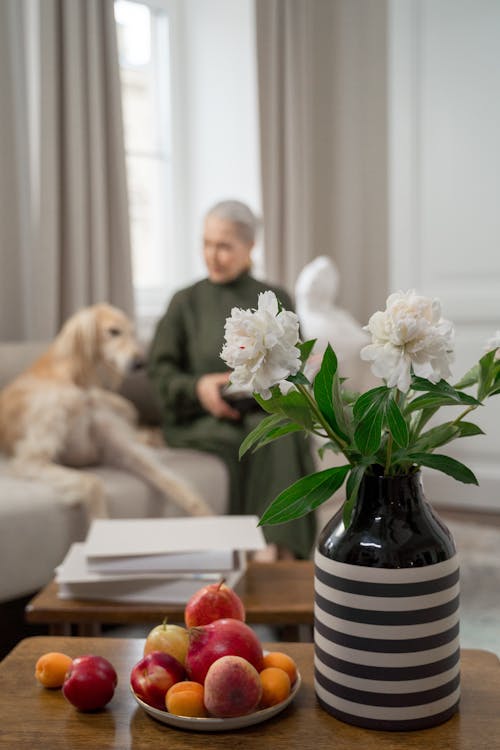 Free Senior Woman Spending Her Time with Her Dog at Home Stock Photo