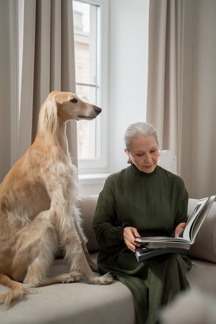 Elderly Woman Reading Book On Sofa In Company Of Greyhound Pet Dog