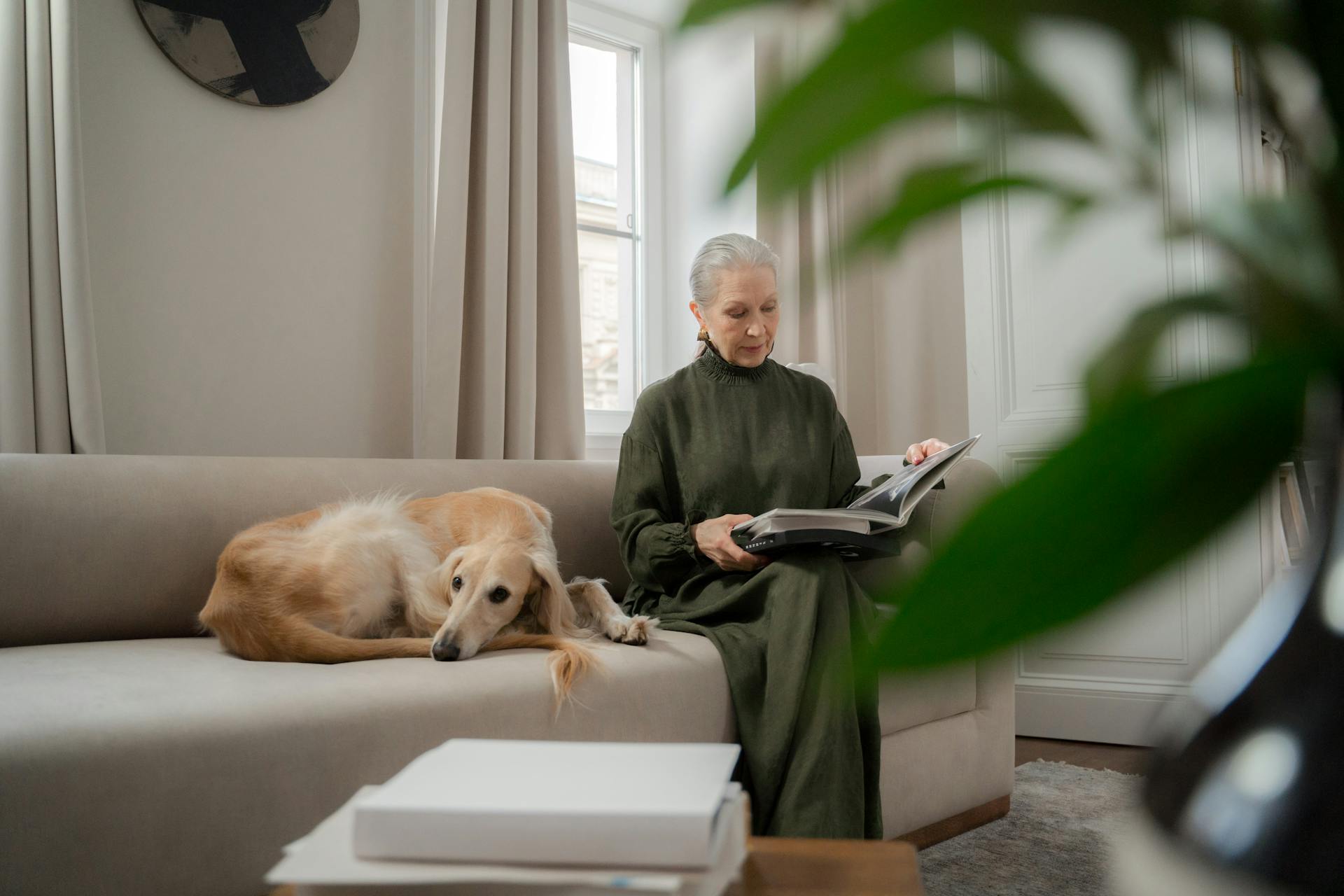 Une femme âgée assise sur un canapé à côté d'un chien lévrier et lisant un livre