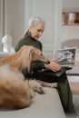 Elderly Woman Reading Book while her Greyhound Yawns