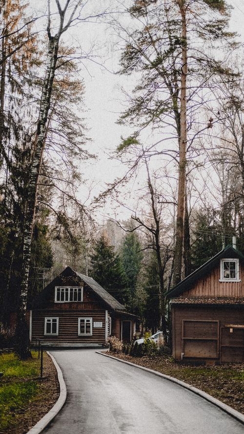 Free Quaint wooden houses nestled in a serene forest landscape with a winding road. Stock Photo