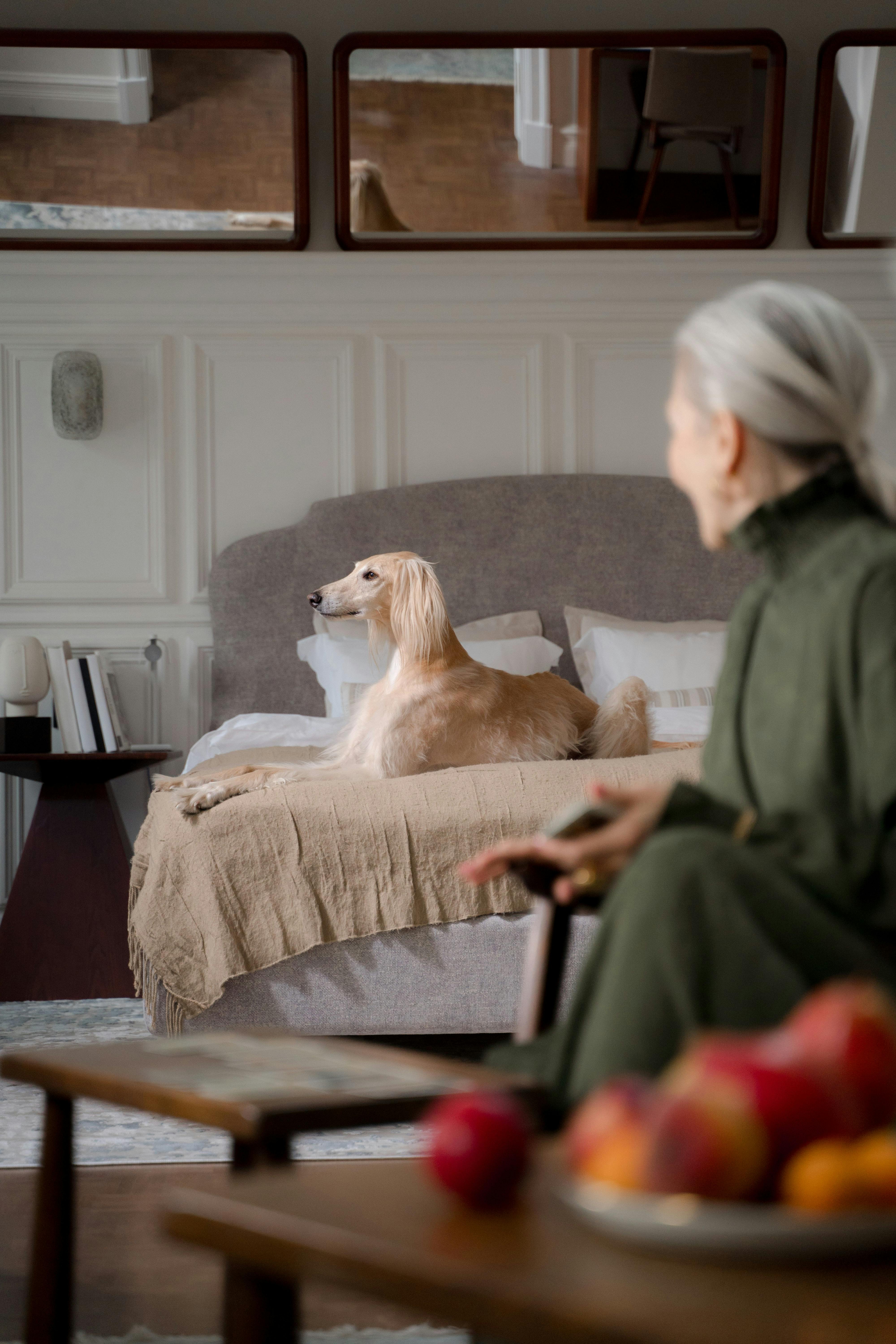 elder lady looking at her dog sitting on the bed