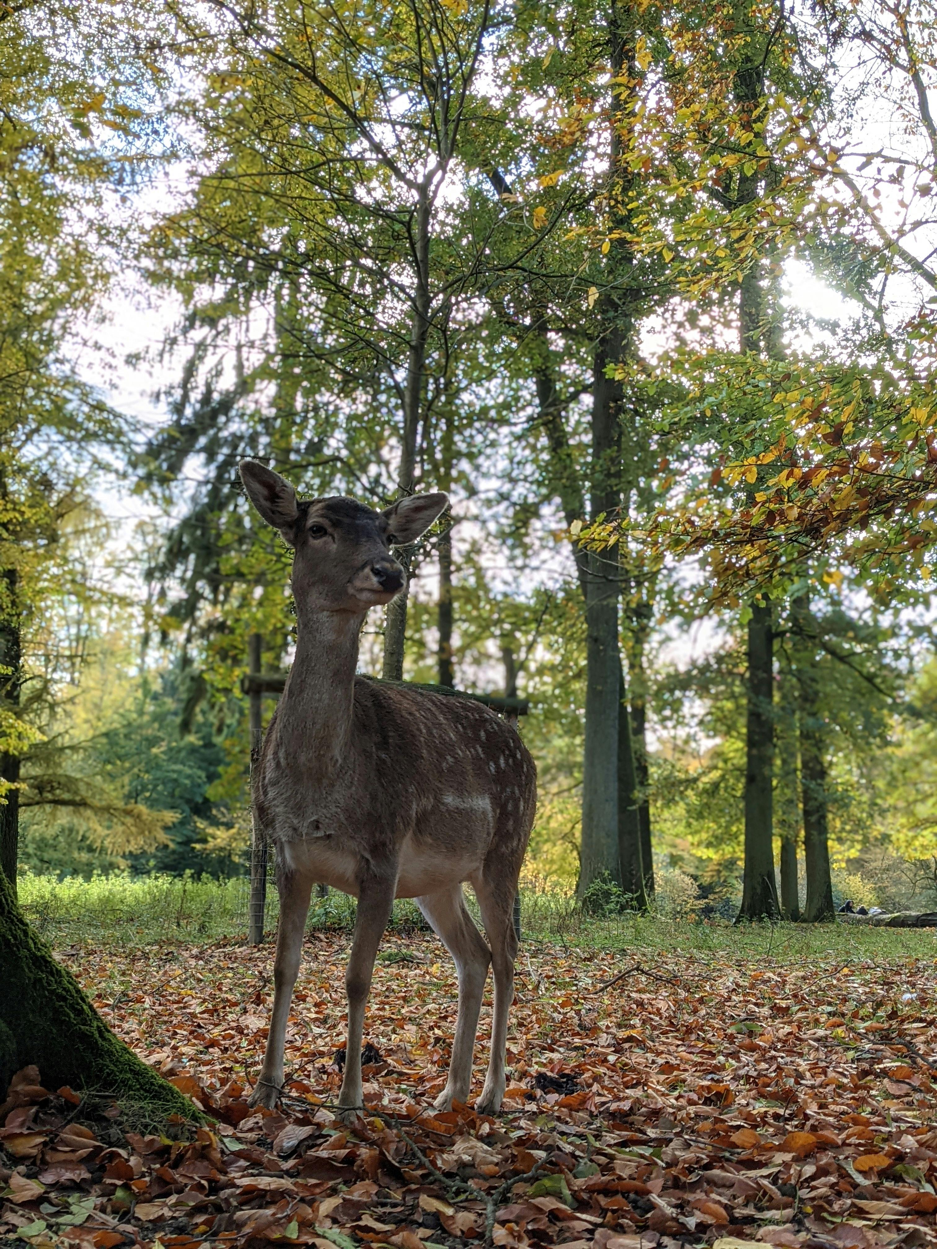 Photo by Nora Malmedie