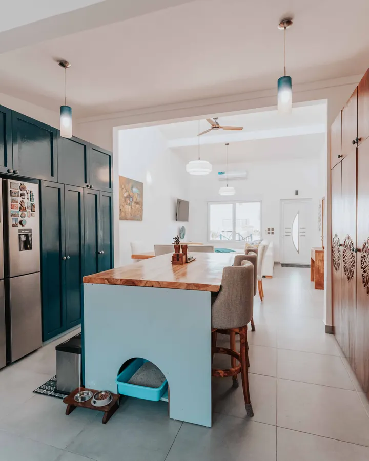 Power Outage? How to Keep Food Safe and Protect Your Refrigerator Spacious kitchen with a central island and modern design