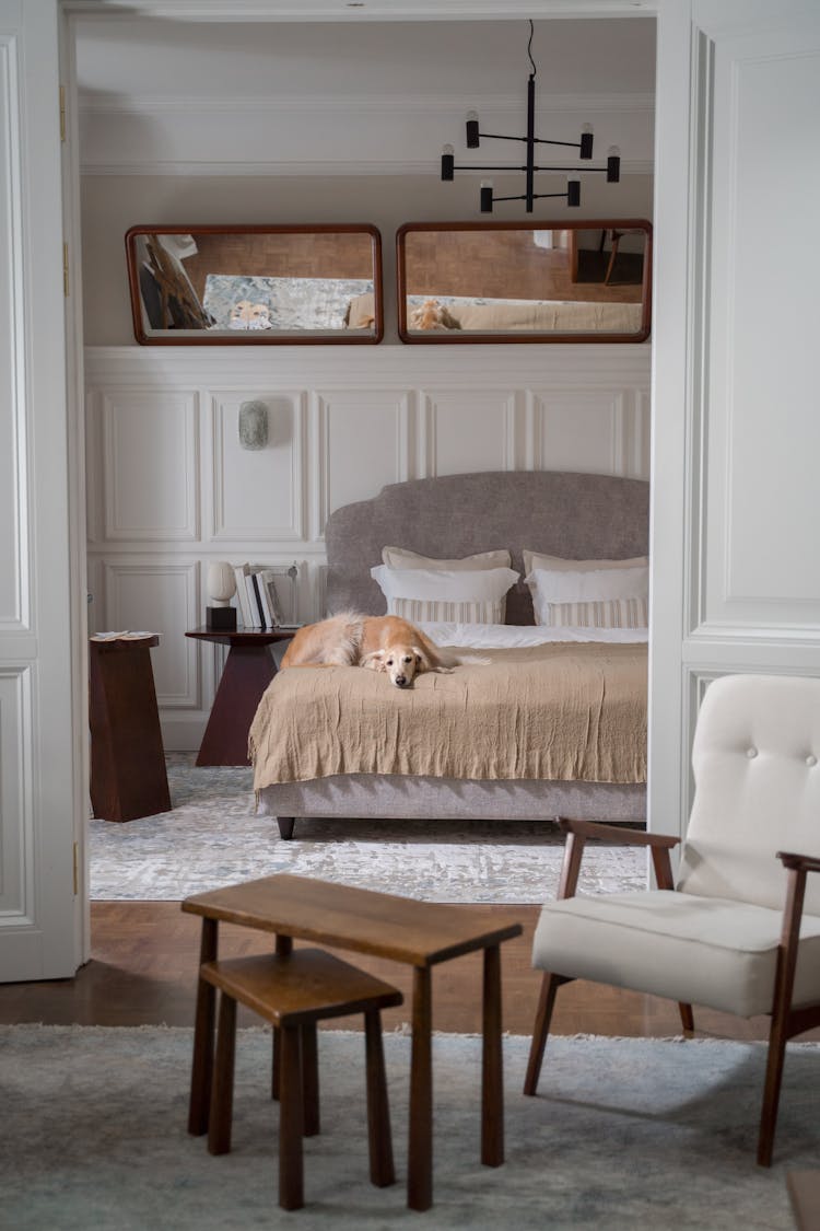 Dog Laying On The Bed